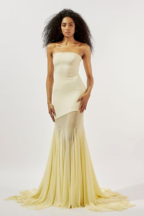 Sleeveless Strapless Mesh Panel Maxi Dress