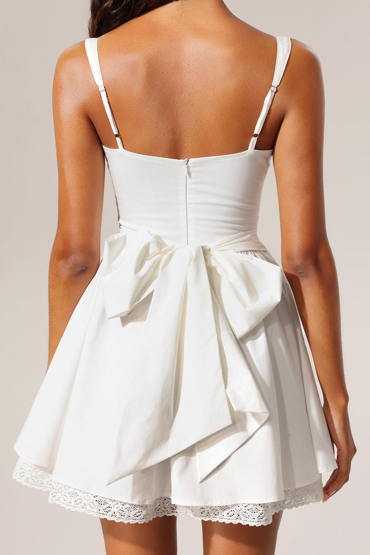 Elay Sleeveless Lace Fishbone Mini Dress