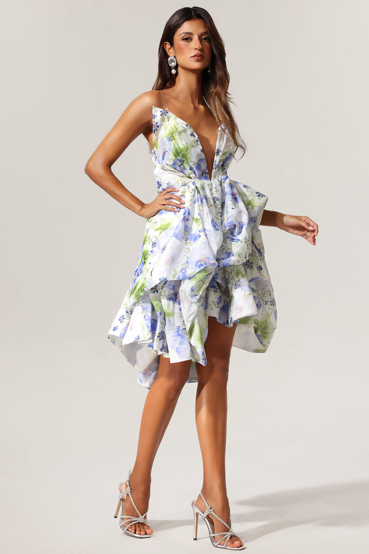 Wilma Sleeveless Floral Printed Asymmetric Mini Dress