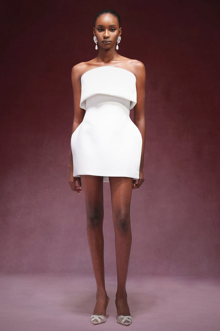 Juju Strapless Sleeveless Mini Dress