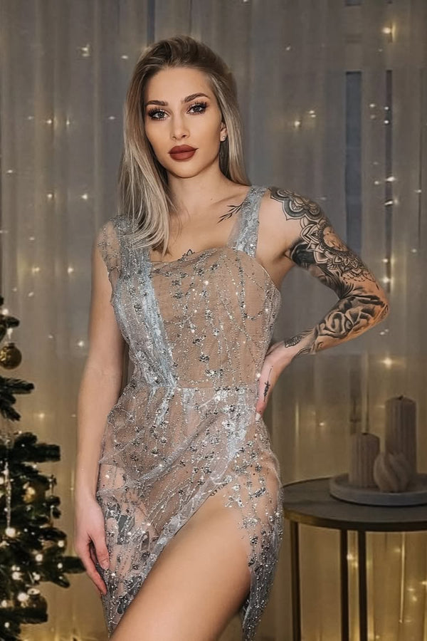 Sedaya Glitter Mesh Mini Dress - Silver